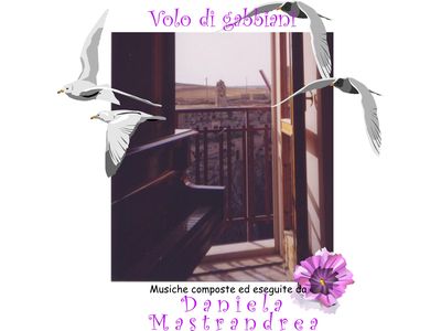 Volo di gabbiani