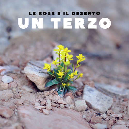 Un terzo