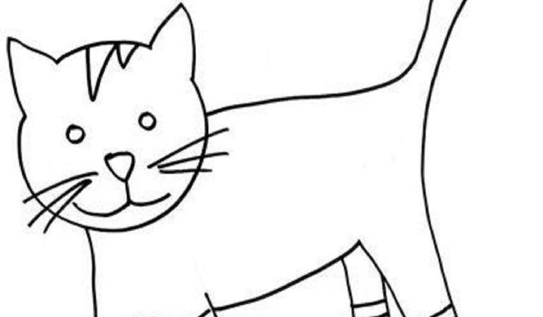 "Gatto": il nuovo singolo di Dona