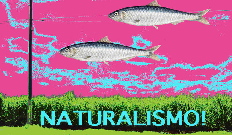 NATURALISMO! - Il secondo album dei BASEMENT3