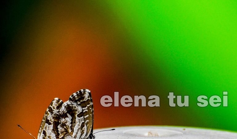 Video di Elena tu Sei, il nuovo singolo delle Pitwine