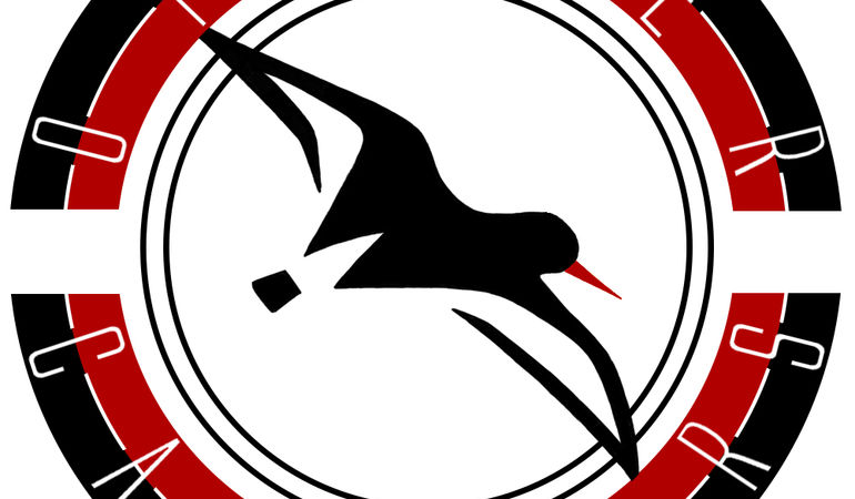 Oystercatchers