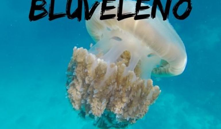 BLUVELENO