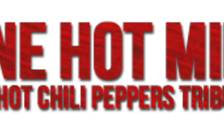 One Hot Minute - RHCP tribute band