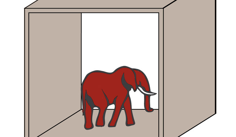 Elephant In The Room