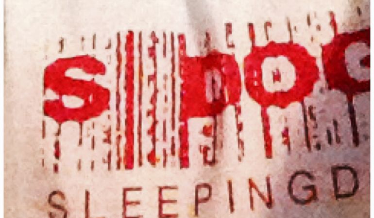 Sleeping Dogs